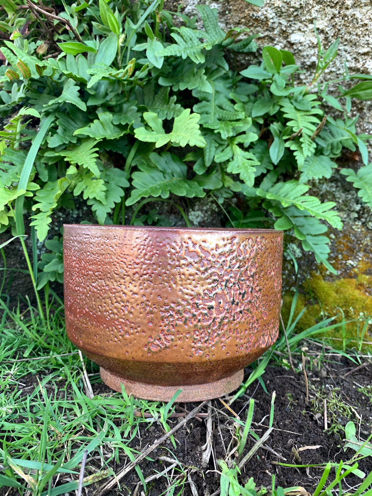 Malcolm Davis Shino Planter