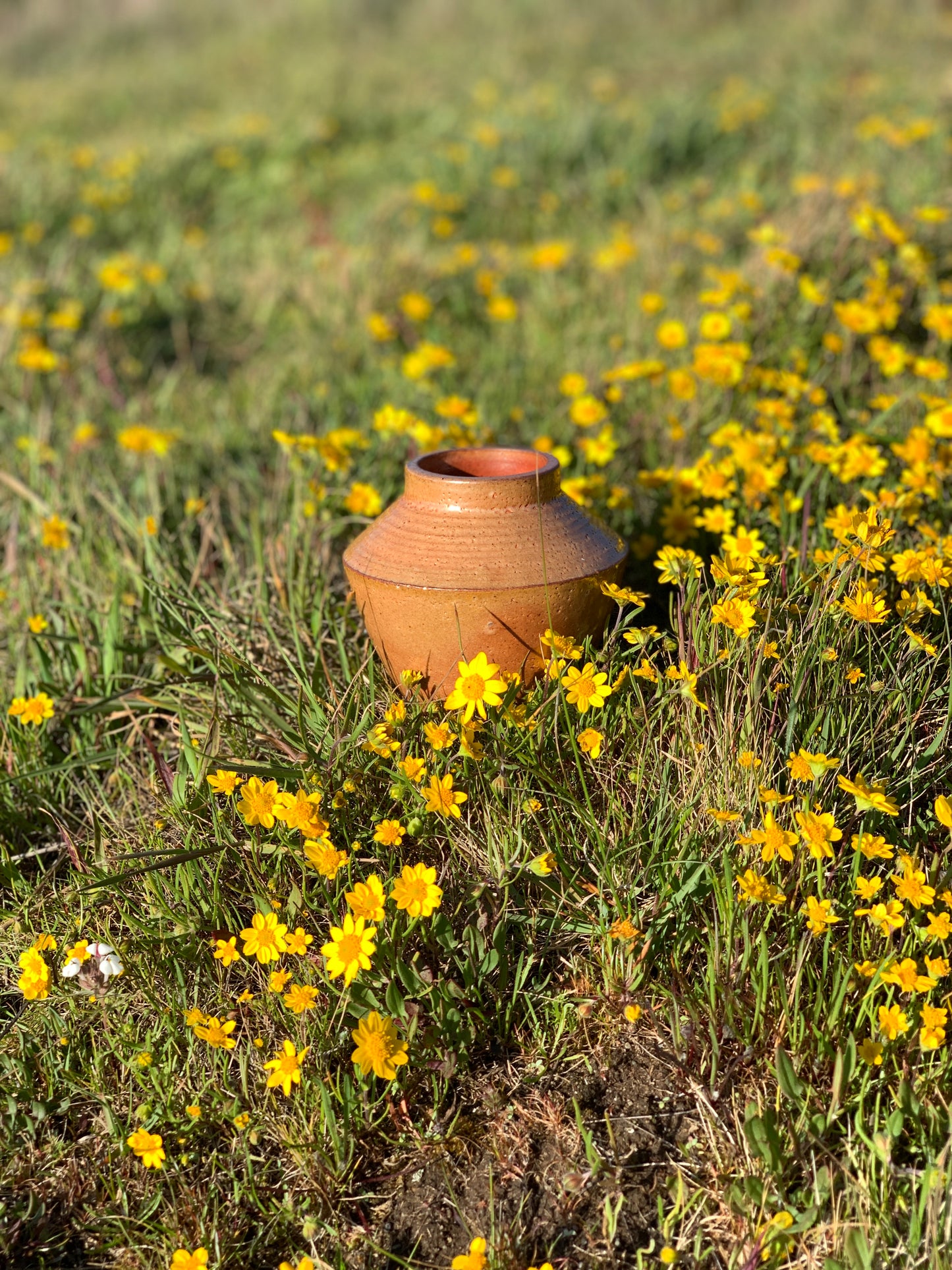 Malcolm Davis Shino Angular Vase