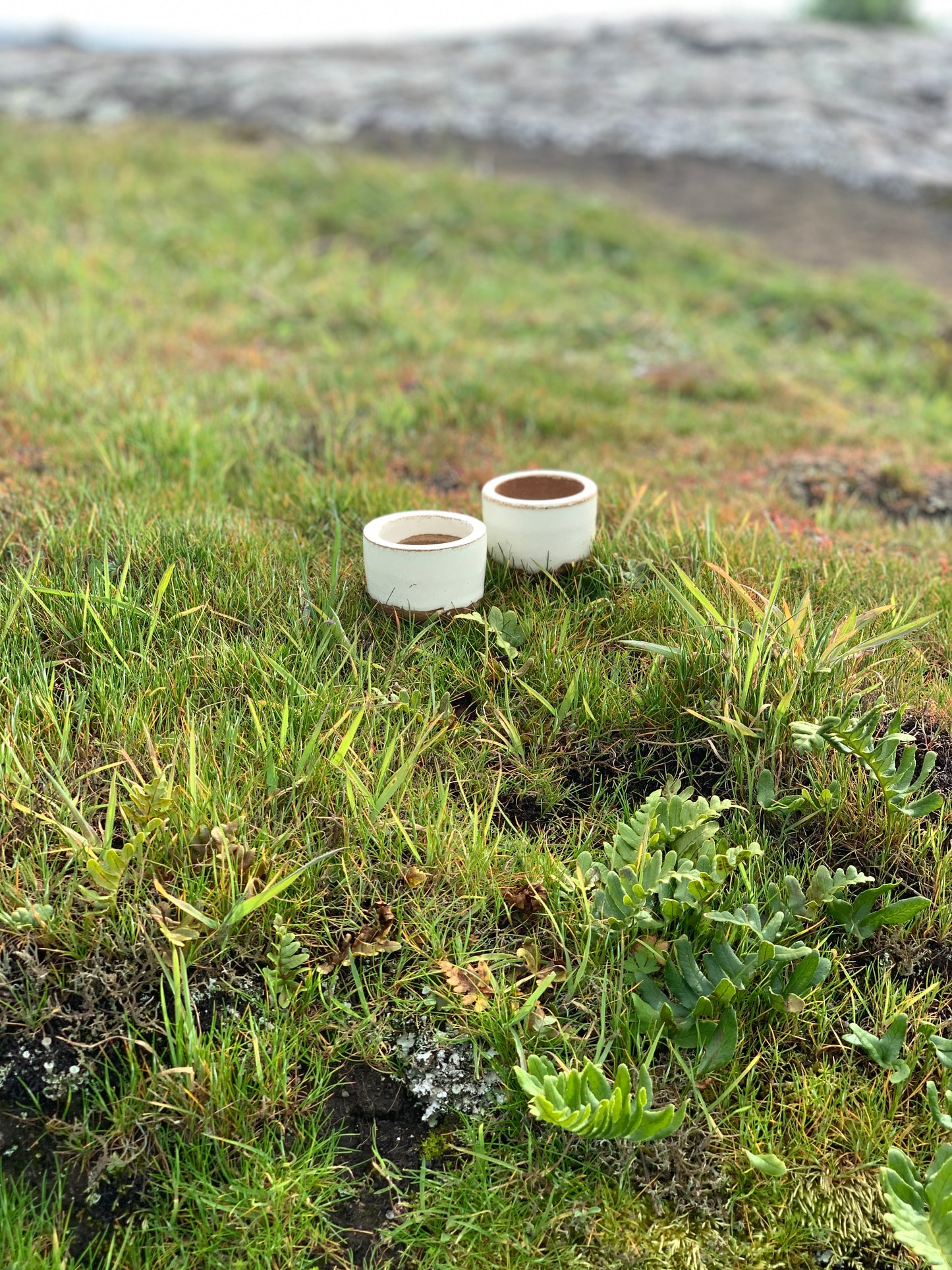 Pair of Tiny Tasting Cups