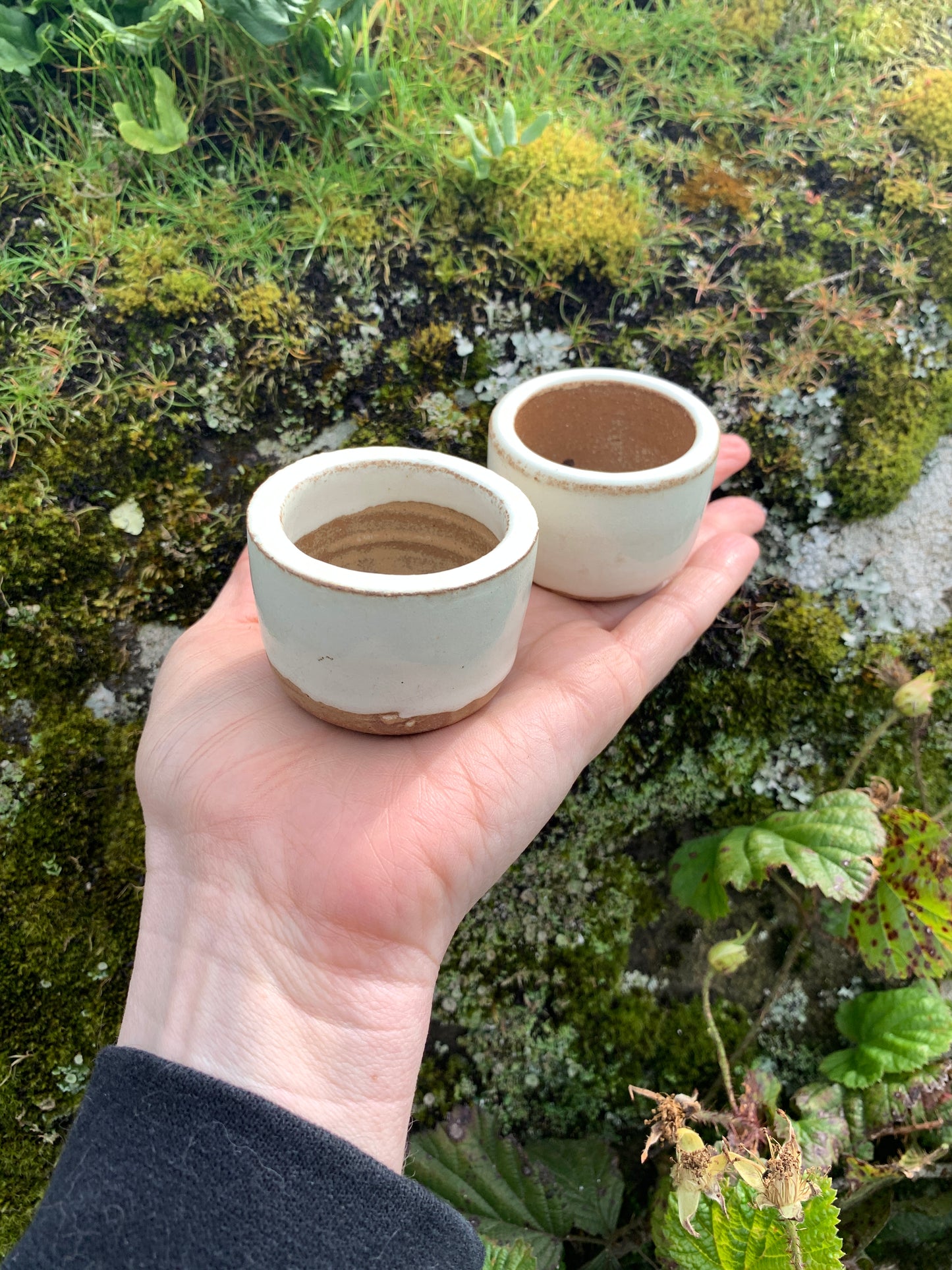 Pair of Tiny Tasting Cups