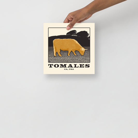 Tomales Highland Cow 10x10 Inch Poster